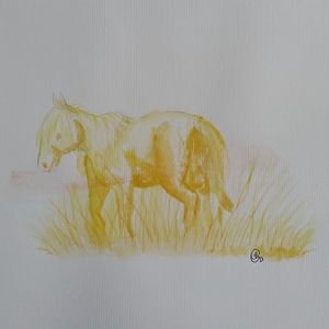 🟡 Yellow Horse Pony Equine Watercolor Painting Illustration